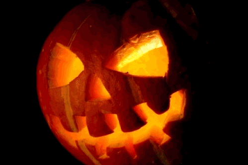 万圣节短视频主题套装！这次刷爆朋友圈就靠它了！