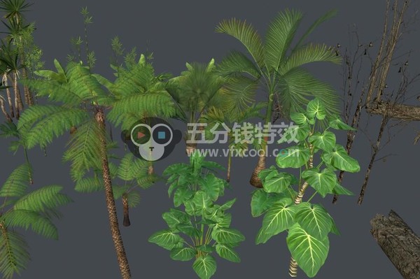 精品次时代写实植物模型!