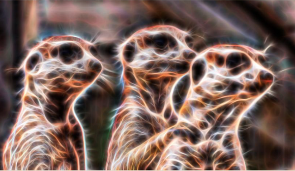 【PS插件】一分钟打造流线之光，超强汉化版！