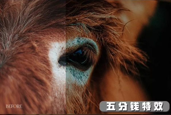 好莱坞电影级质感胶片艺术效果ACR预设!分分钟出大片!