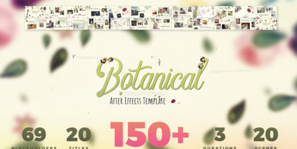 AE模板-花朵树叶自然婚礼爱情相册照片开场片头！