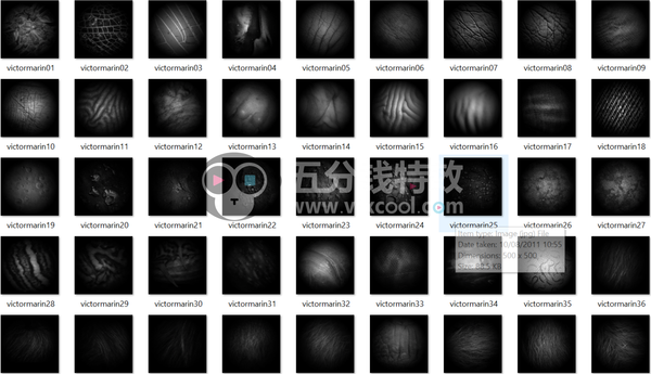 ZBrush皮肤细节中文笔刷!