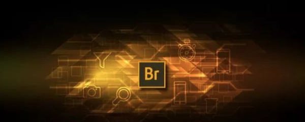 Adobe bridge图片管理器!