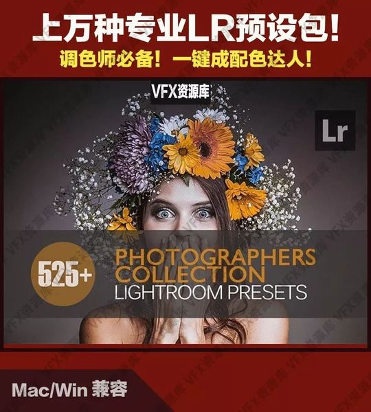 “别再浪费钱去买Lightroom预设了！”上万种专业LR预设包，限时免费领取！