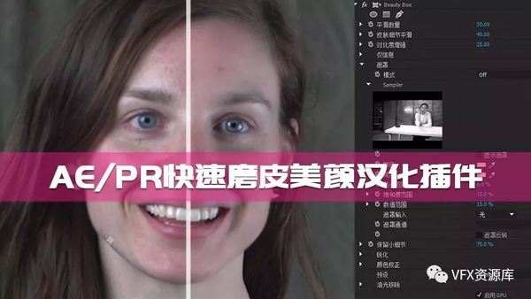 【美颜】AE/PR快速磨皮插件,一键美颜,中文汉化版!