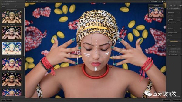 Nik调色插件套装中文版Mac