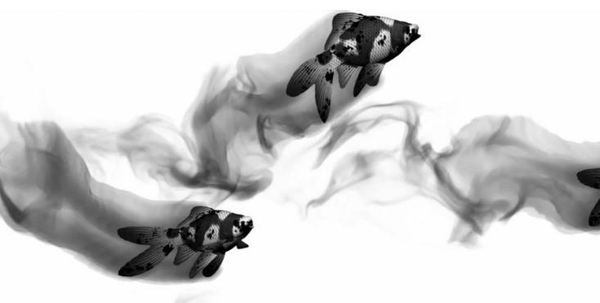 C4D初始水墨 ，满满的中国风！