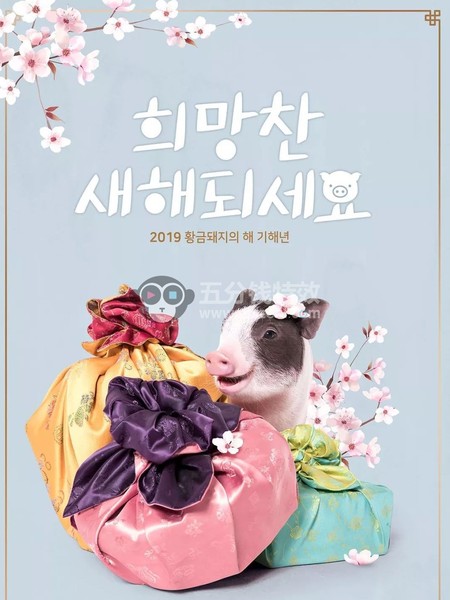 2019猪年新品素材，告别平庸烂大街！