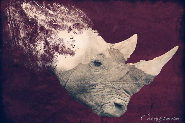 [笔刷] RAWexchange -烟雾灰尘冰雹下雨散景魔法笔刷 Magic Brushes！