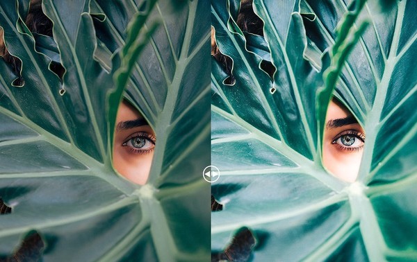 [旅行lr预设] INS网红博客旅拍人像婚礼美食胶片Lightroom预设+Mobile App LR预设 ！