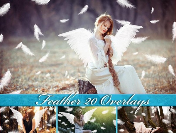 30张高清唯美翅膀羽毛飞舞叠加合成素材