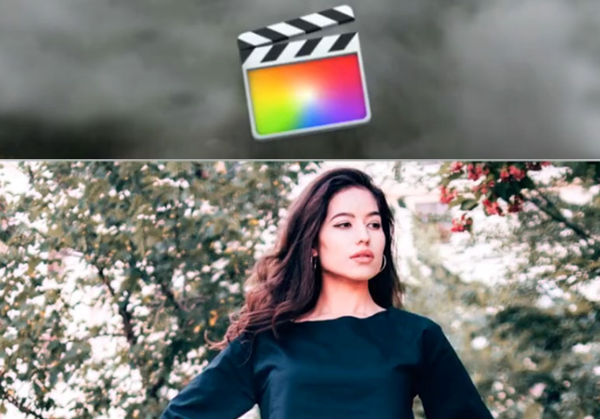 FCPX调色插件:50种复古怀旧黑白视频调色预设