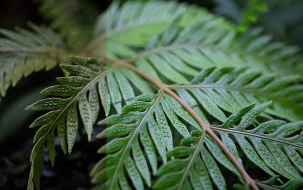 [胶片lr预设] 胶片部落2019最新胶片Lightroom预设Tribe Archipelago Atlas Lightroom！