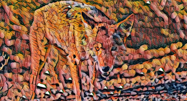 AE创意风格化视频脚本Transfusion v1.6.0 Win/Mac+使用教程