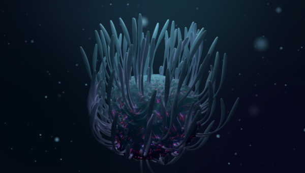 Arnold阿诺德渲染器全面综合教程for C4D