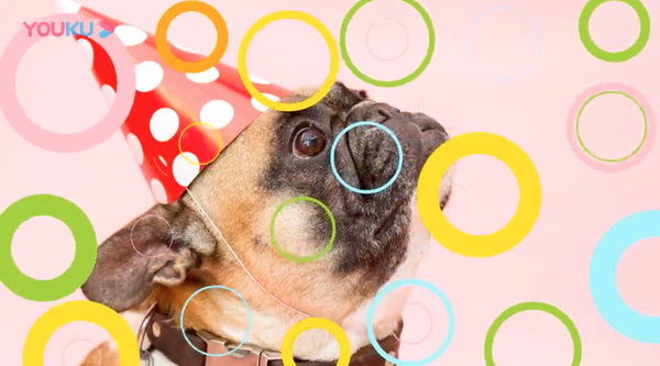 AE模板-彩色图形转场动画 Colorful Shape Transitions