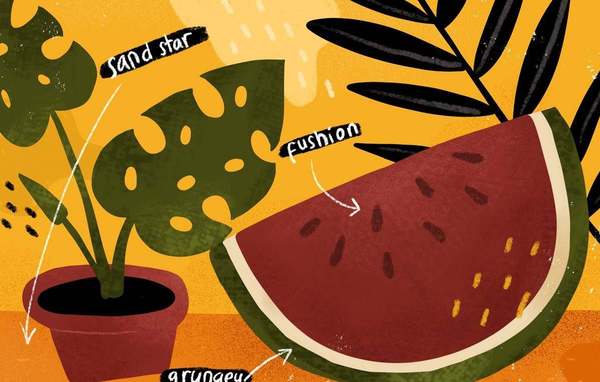 自然生活插画Procreate笔刷- Procreate App画笔