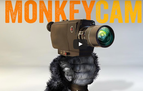 AE插件-摄像机动画运动控制脚本 MonkeyCam Pro v1.03