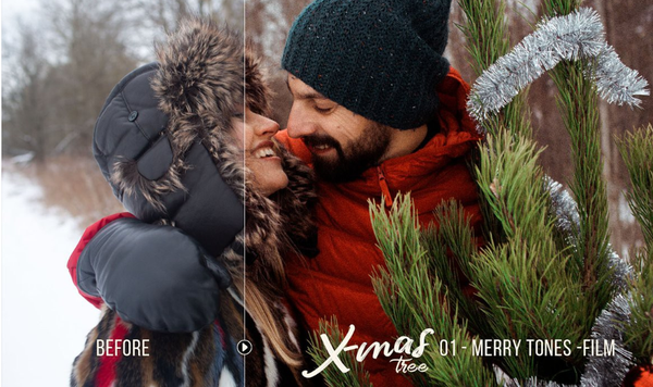 冬季人像Lightroom预设+移动APP预设 Christmas Tree - 20 Winter Presets