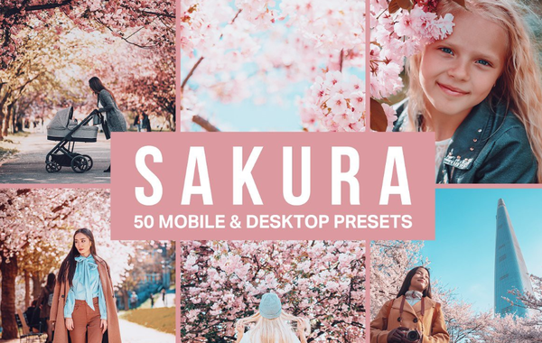 日系樱花日本旅拍LR预设+3DLUT预设 Sakura Lightroom Presets and LUTs