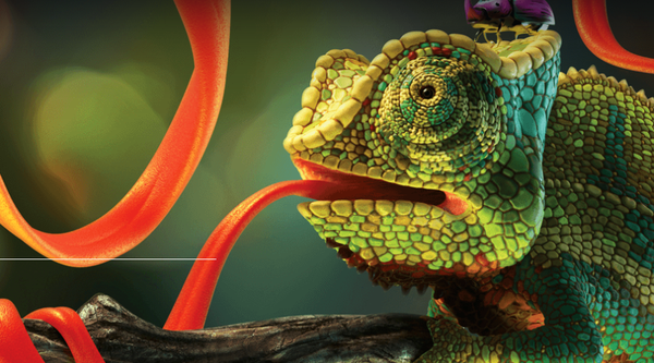 中文版-材质贴图pbr绘制软件Allegorithmic_Substance_Painter_2019.3.3_WINMAC