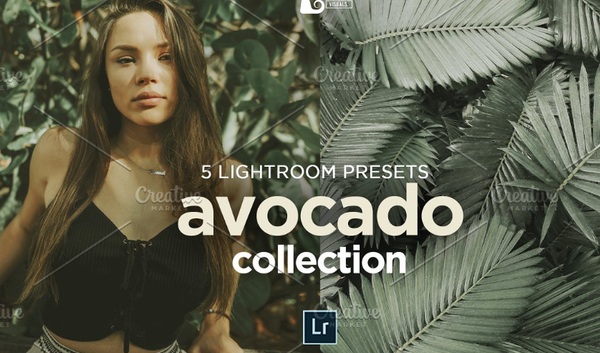 [胶片LR预设] 油润徕卡森系电影胶片Lightroom预设 AVOCADO Lightroom Presets