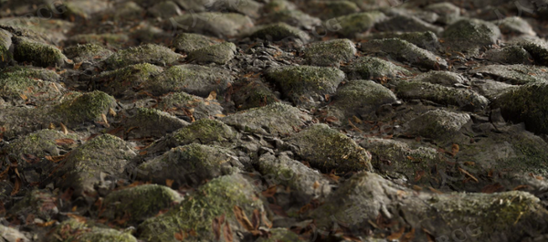 60组4K8K高精度森林藓岩石树叶蘑菇等扫描纹理贴图合集