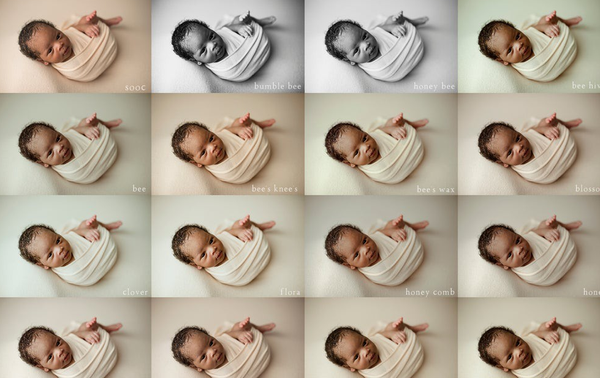 新生儿Lightroom预设合集Honey Collection Newborn Presets lr调色预设