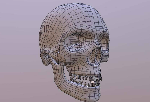C4D插件-三维模型四边形网格拓扑插件 Exoside QuadRemesher v1.1 Win