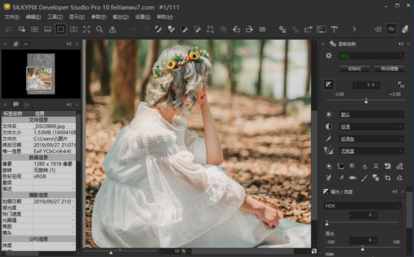 SILKYPIX Developer Studio Pro 10.0.14汉化版|RAW数码照片处理软件WinX64