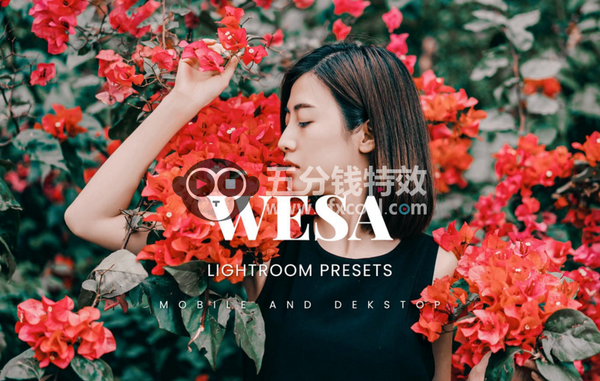 高雅莫兰迪电影色调Lightroom预设和APP滤镜 Artsyno wesa lightroom presets