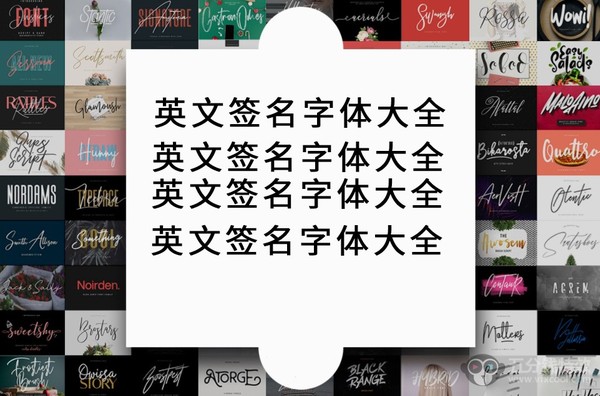 460种签名设计排版引用杂志或书籍封面英文字体下载