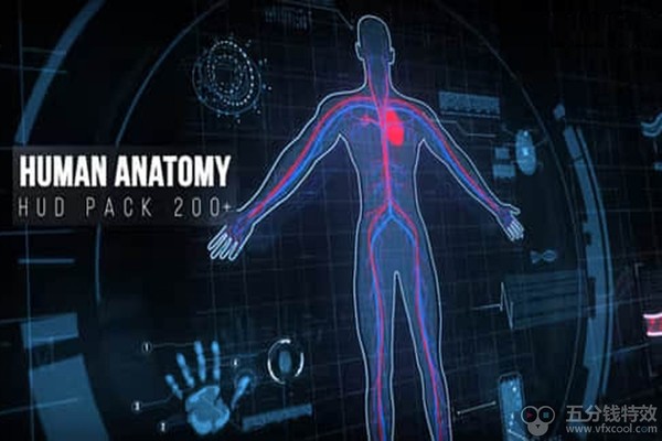 AE模板-200种科技感人体UI界面HUD元素动画 Human Anatomy HUD Pack