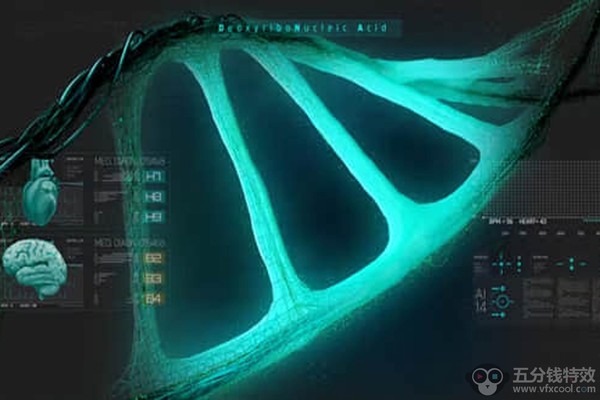 AE模板-40组生物医疗DNA链动画 HUD Medical Interface DNA