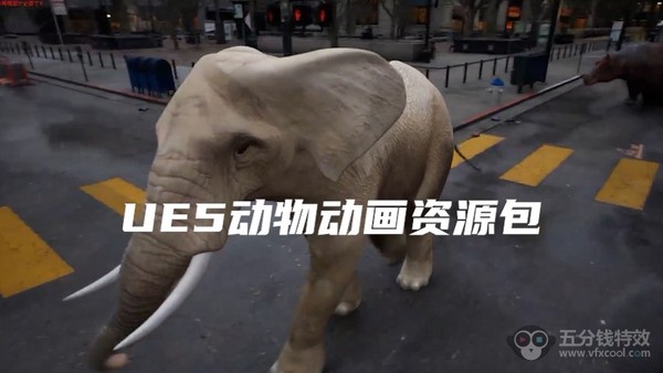 UE5动物模型动画资源包，上千种动物骨骼动画资源
