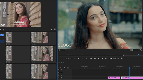 专业电影还原LUTLOG2/3色彩还原电影风格LUT预设  Cinematic LUT Collection