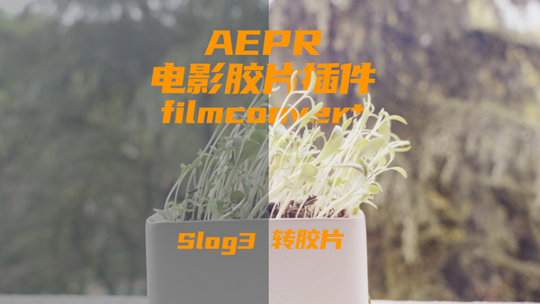 2383搞不明白,不如试试filmconvert胶片插件,方便省事!