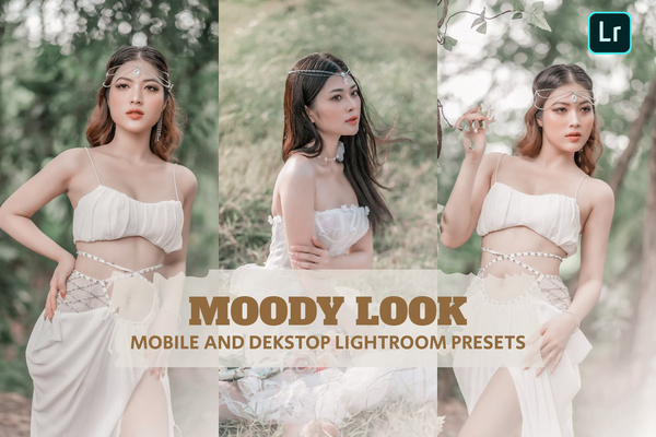 唯美胶片人像LR预设 Moody Look Lightroom Presets Dekstop and Mobile