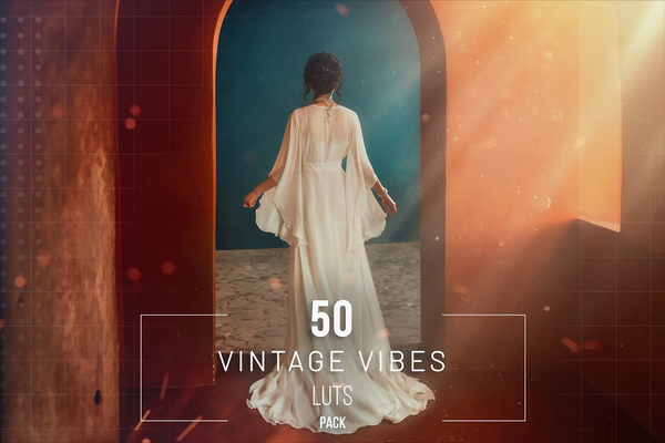 50种复古电影视频调色LUT预设 50 Vintage Vibes LUTs Pack