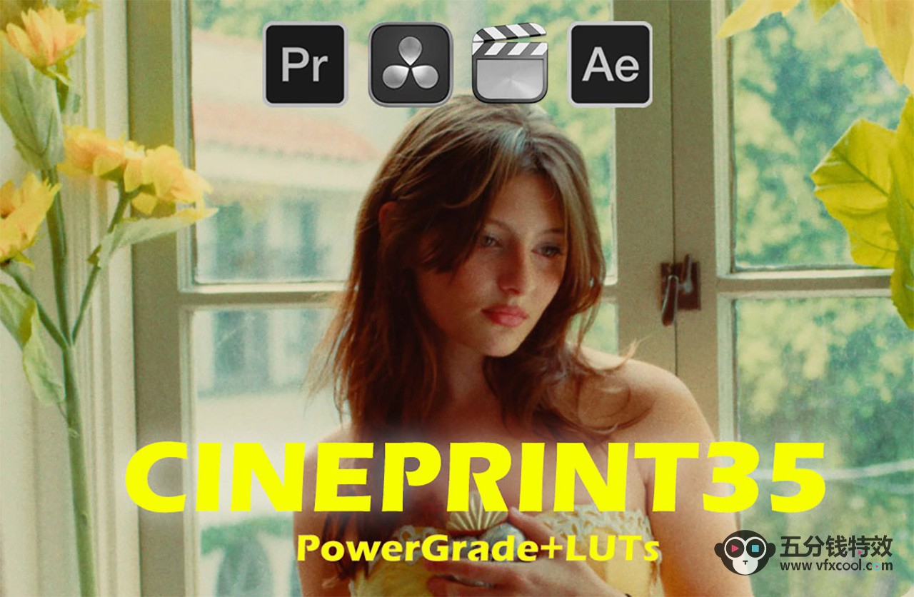 柯达富士电影模拟LUT预设达芬奇节点CINEPRINT35 PowerGrade+LUT