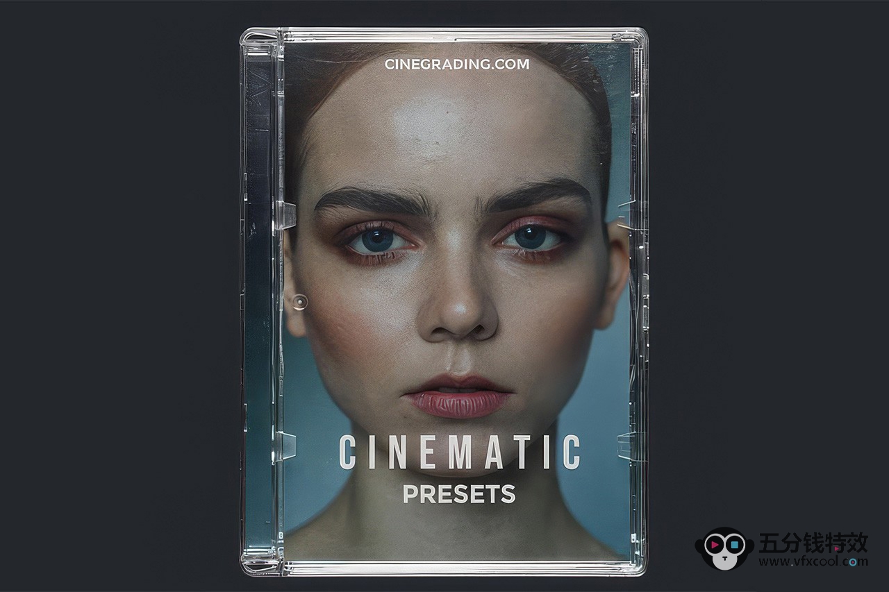 经典电影胶片美学Lightroom预设 Cinegrading-Cinematic Presets