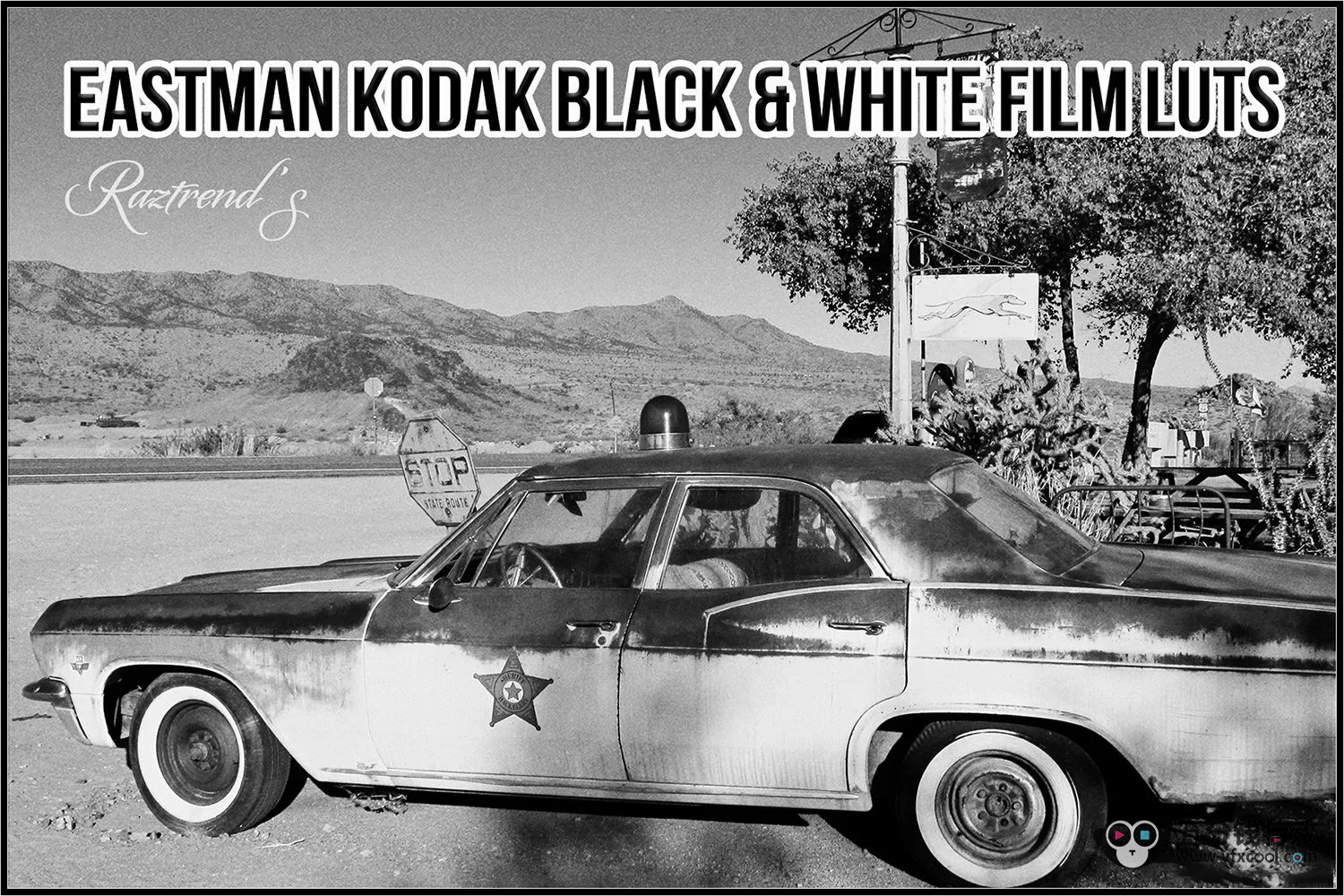 柯达黑白胶片LUT调色预设Eastman Kodak Black White Films LUTs