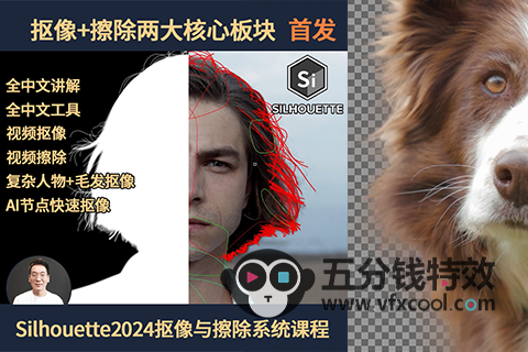 Silhouette2024-2025抠像与擦除中文系统教程中文软件,中文语音!