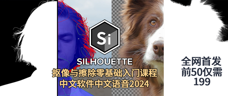 Silhouette2024中文系统教程