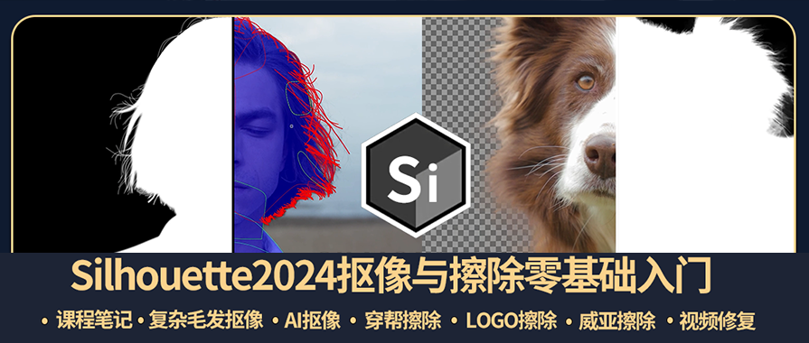 Silhouette2024中文系统教程