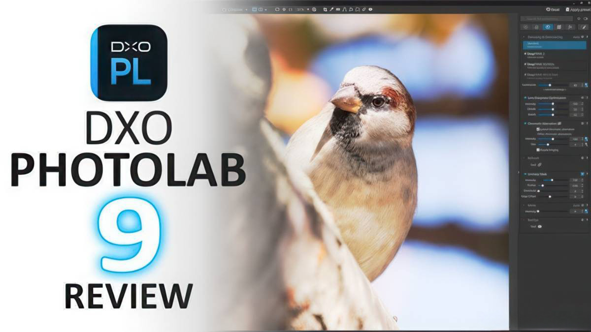 DxO PhotoLab v9.0.1Build 最好的RAW图像编辑软件中文版！支持Win/Mac版本