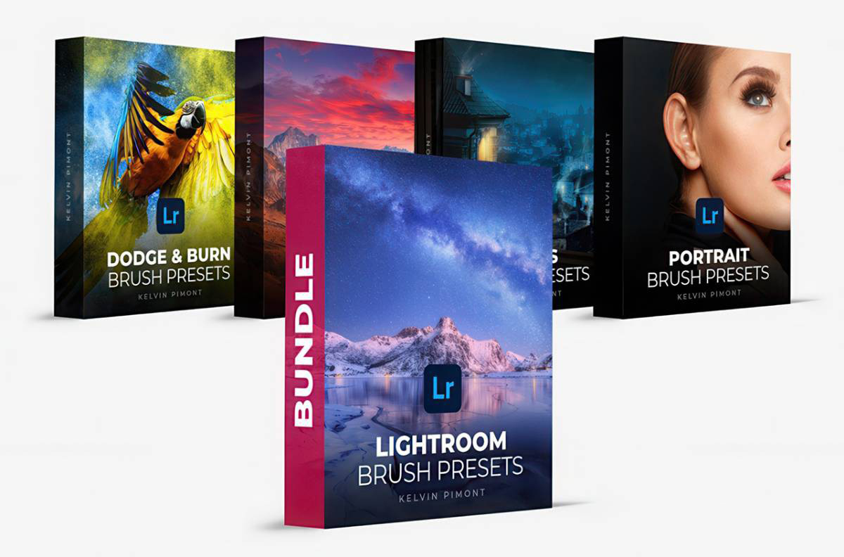 4套60种LR动态笔刷预设合集 Lightroom Brush Presets