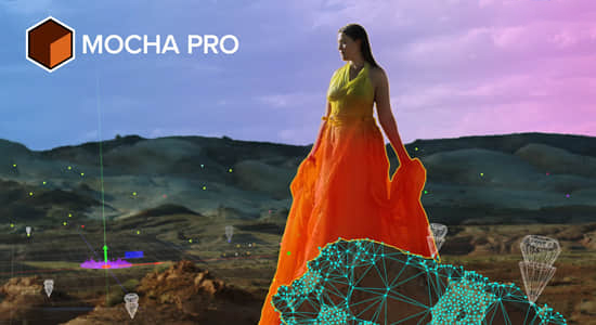 Mocha摄像机反求跟踪软件AE/PR/OFX/达芬奇/AVX插件Mocha Pro 2025.5 v12.5.3 Win