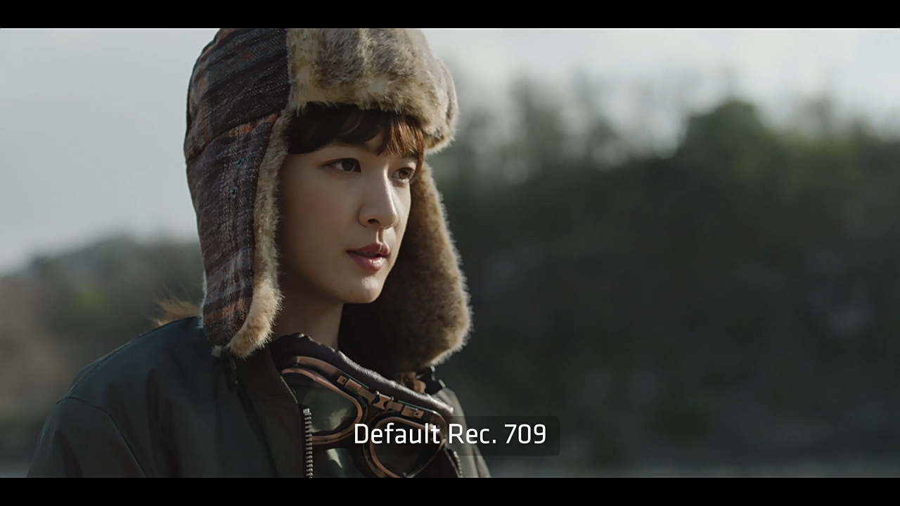 达芬奇插件-仿电影胶片视频调色插件 ARRI Film Lab 1.0.2 Win 含使用教程