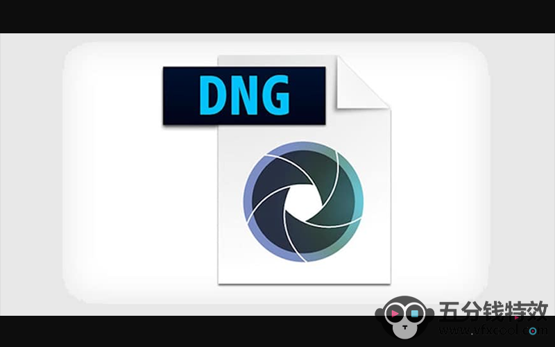 最新 DNG Converter 18.2.2 Win中文版，图片RAW相机照片格式转换器！